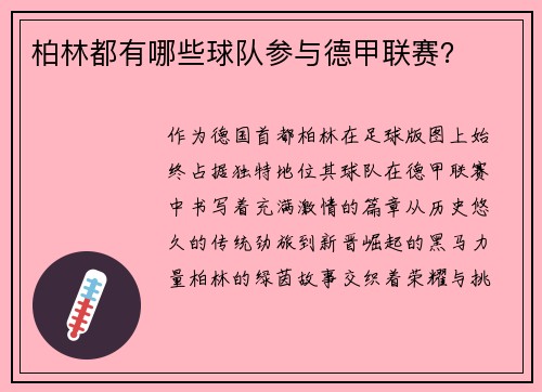柏林都有哪些球队参与德甲联赛？